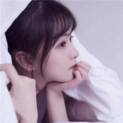 admin头像